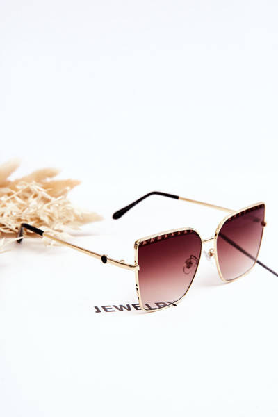 Large Sunglasses Prius V303 Gradient Brown