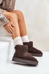 Women's Suede Snow Boots on Platform Above Ankle Brown Rianaella