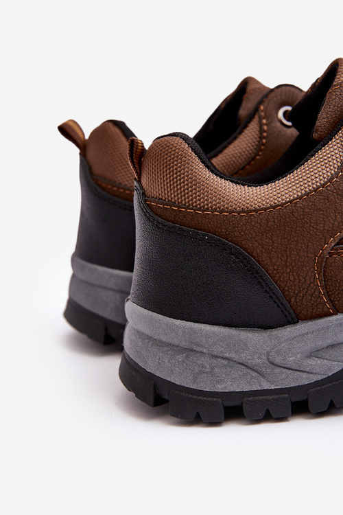 Men's Sport Trekking Shoes Brown Alveze