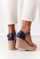 Brown || Blue