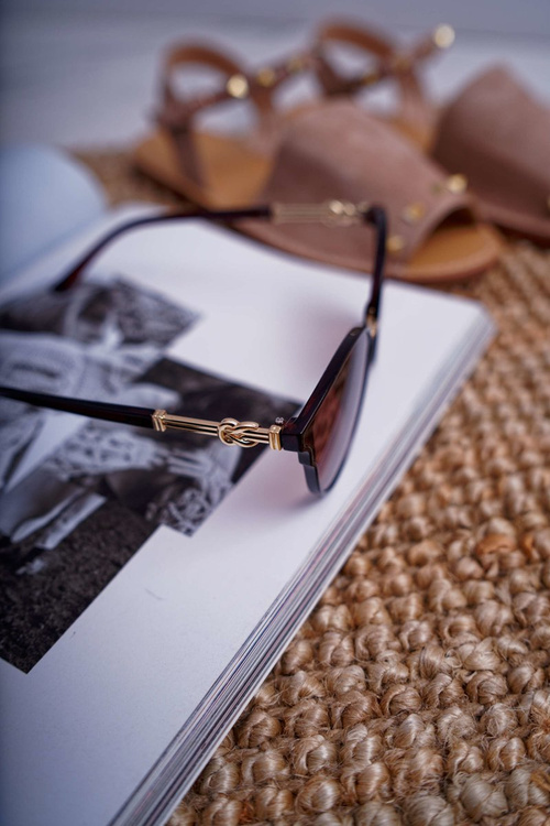 Prius PR-V06 Brown Sunglasses