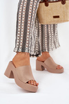 Women's Sandals On Heels And Platform Khaki Omeisa