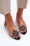 Transparent sandals with low heel and decoration Black D&A MR38-383