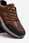 Men's Sport Trekking Shoes Brown Alveze 