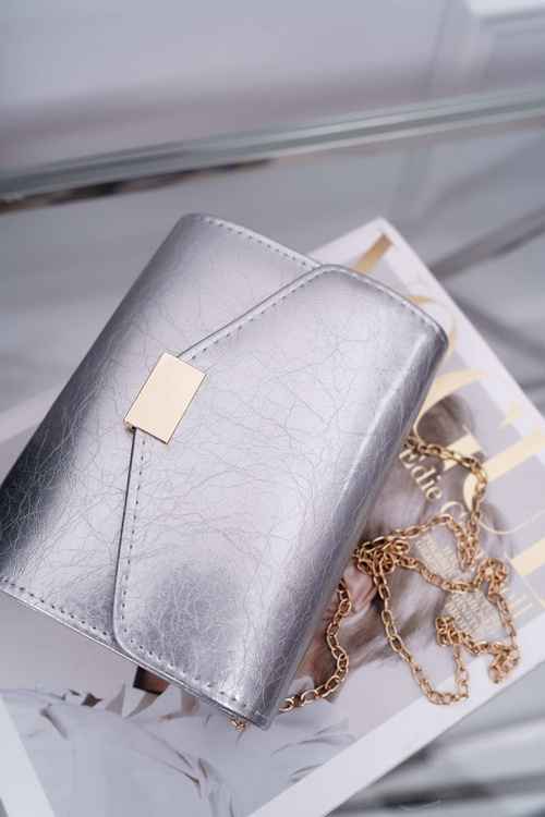 Women's Handbag Silver Lacquered Stylish Clutch Bag