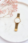 Mesh Bracelet Watch Giorgio&Dario Gold-White