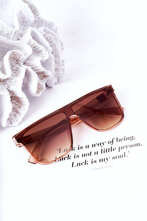 Shield Sunglasses VINCENT Brown Ombre
