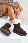 Women's Suede Snow Boots on Platform Above Ankle Brown Rianaella