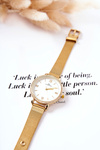 Women's Watch With Zircons On Mesh Bracelet Giorgio&Dario Gold