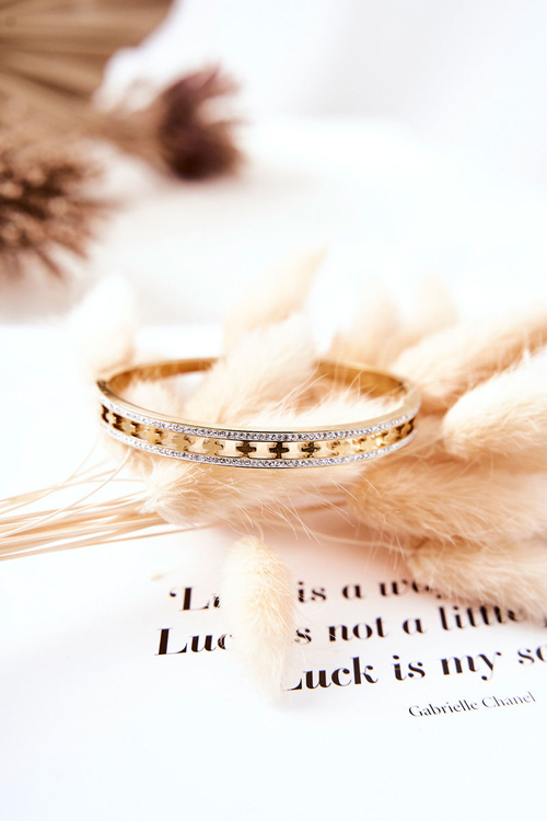 Steel Bracelet with Zircons Gold Allia