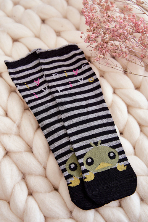 Skarpetki Damskie Bawełna Śmieszne Paski 5-Pak Multikolor