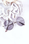 Silver Lennon Sunglasses With Gray Lenses