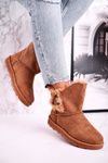 Women's Snow Boots Suede with Fur Brown Button