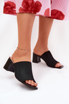 Women's Heeled Sandals Block Type Black Wenilan