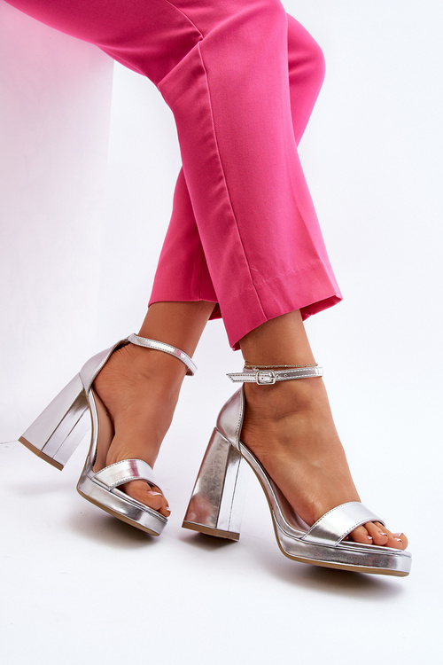 Fashionable Suede Sandals with Square Heel Silver Merila