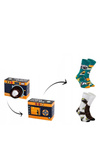 Rainbow Socks Camera 2 Pairs