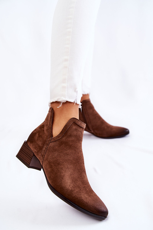 Women's Classic Boots With Zipper Brown Ellene