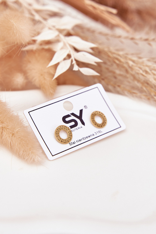 Gold Earrings Small Circles Made Of Stainless Steel