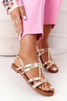 Brown || Gold