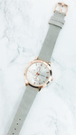 Ladies' Watch Ernest Darsi Grey Suede