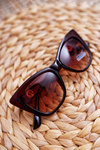 Prius PR-V24 Brown Sunglasses