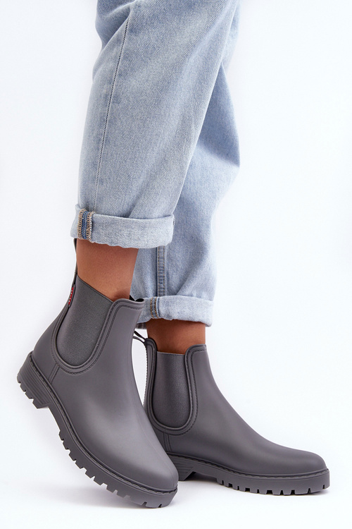 Women's Low Boots Gray Birella