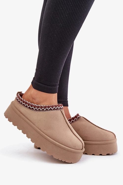 Low Women's Snow Boots With Embroidery On Platform Dark Beige Narirya