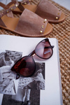 Prius PR-V06 Brown Sunglasses