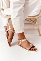 Brown || Gold
