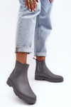 Women's Low Boots Gray Birella