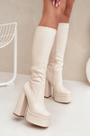 Warm women's ankle boots on a heel and platform light beige Lysara