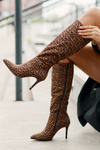 Stiletto Boots With Leopard Print Brown Reanwenna