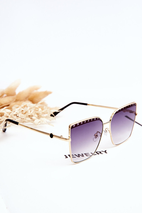 Large Sunglasses Prius V303 Gradient Black