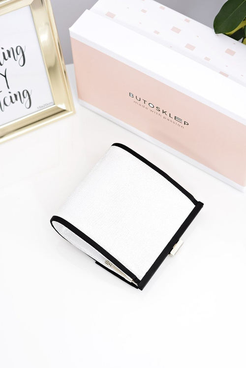 Women's Silver Clutch Handbag