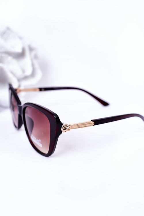 Women's Sunglasses Brown Ombre