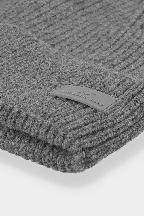 Men's Insulated Winter Hat 4F 4FAW23ACAPM306-24M Grey