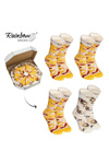 Rainbow Socks Pizza 4 Pairs Hawaiian