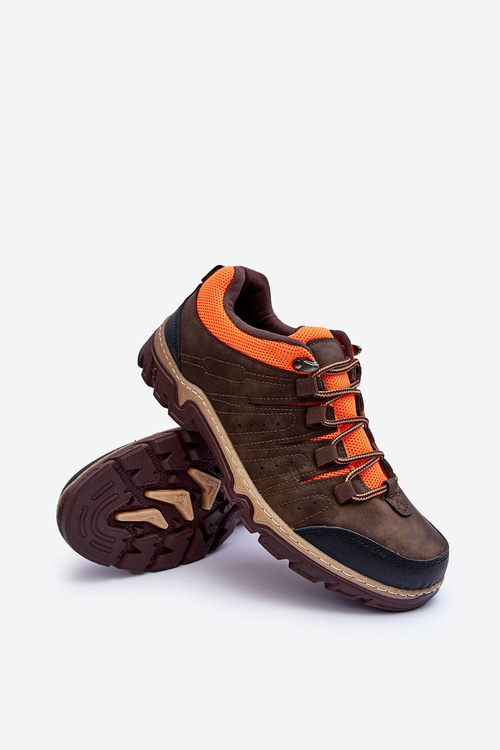 Men's Low Trekking Shoes Brown Orlando