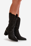 Black Women's Cut-Out Ankle Boots with Pointed Toes Faux Suede Nevithra