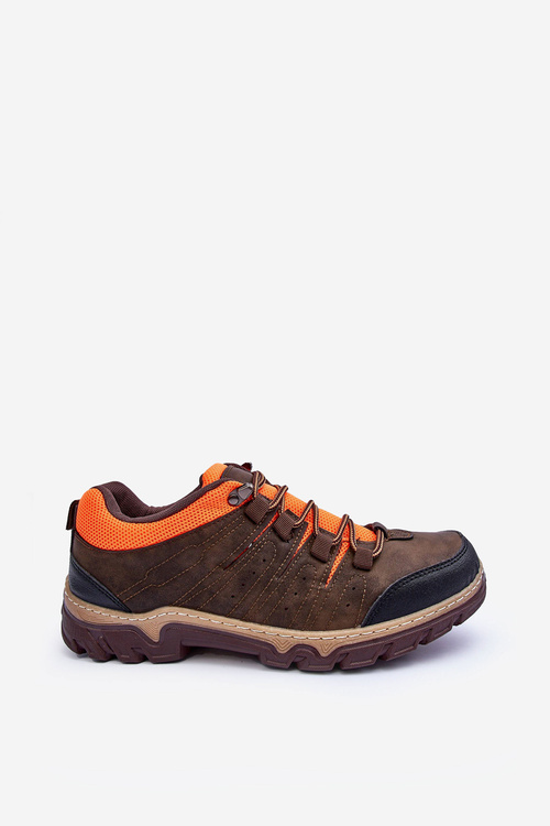 Men's Low Trekking Shoes Brown Orlando