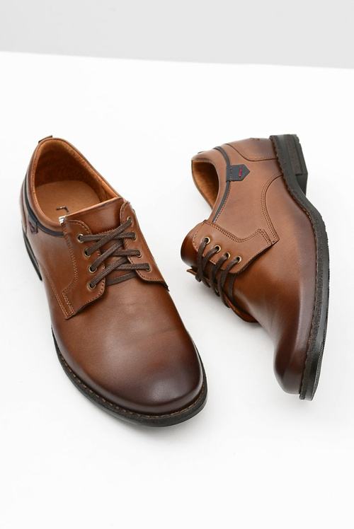 Brown Men's Half Boots NIKOPOL 1577