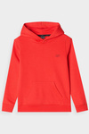 Boys Non-Zip Hoodie With Hood 4F 4FJWMM00TSWSM1292-70S