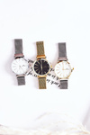 Watch On Mesh Bracelet Giorgio&Dario Silver-Gold