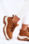 Women's Trekking Shoes Memory Foam Big Star KK274362 Brown