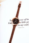 Women's Watch On A Thin Strap Ernest Brown 