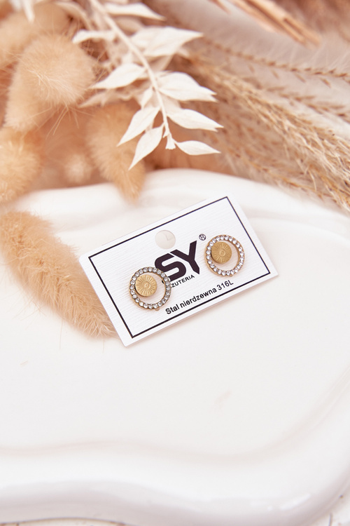 Stainless Steel Earrings Circles with Cubic Zirconia Gold