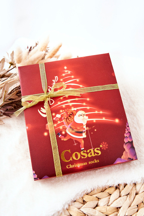 Ladies' Santa Claus Cosas Socks Set of 4 Pairs + Pendant