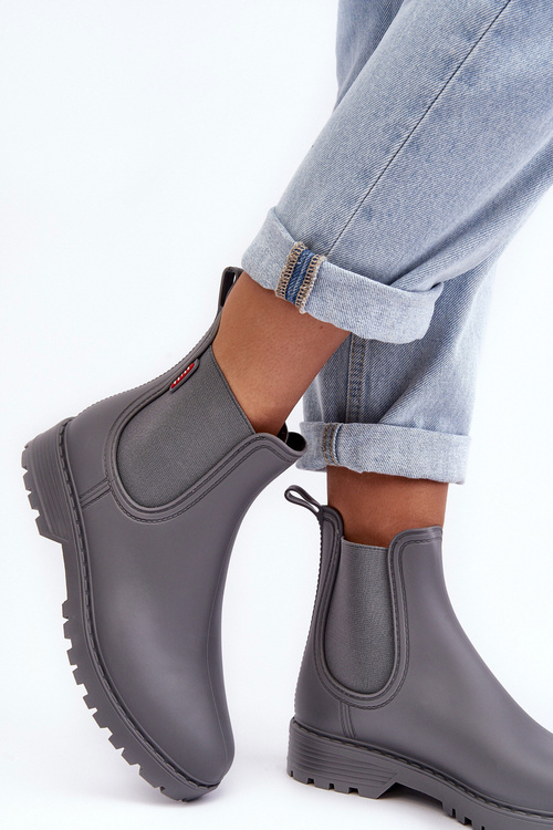 Women's Low Boots Gray Birella
