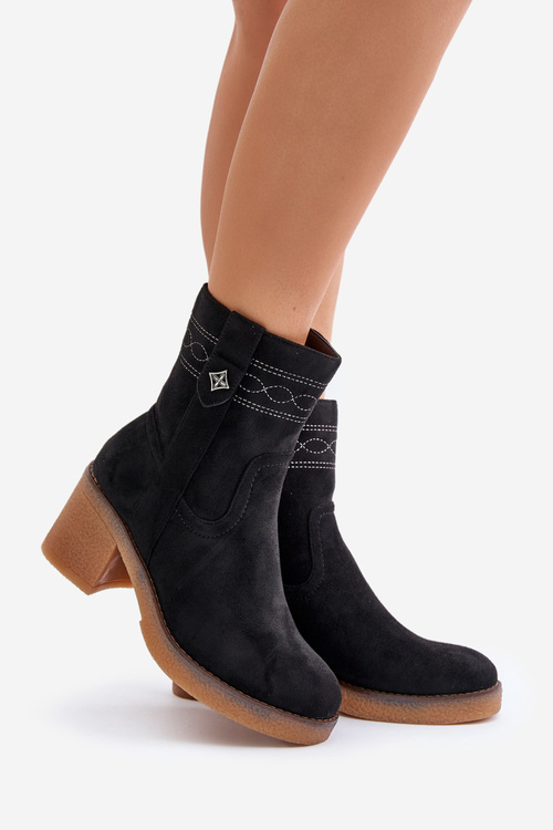 Warm Women's Ankle Boots With Heels Black Vailia