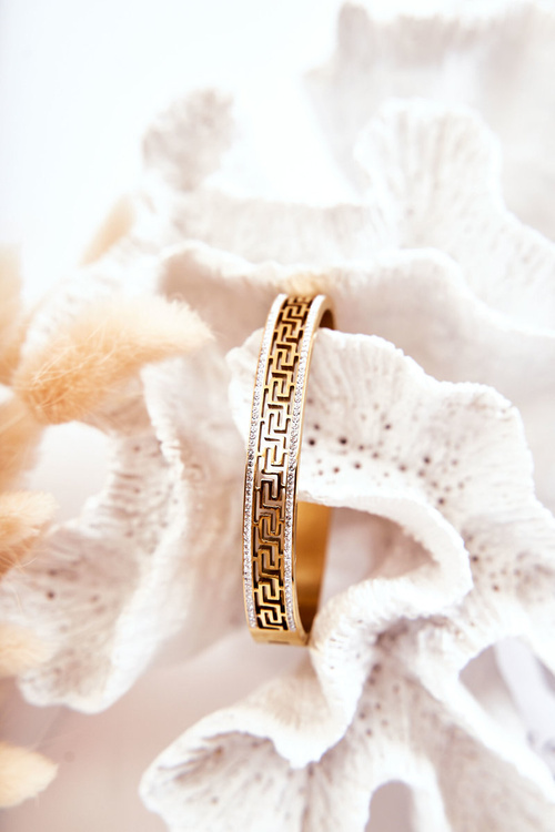 Women's Steel Bracelet With A Clasp With Cubic Zirconia Gold